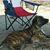 Clint Netterville's profile image