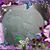 Brenda Kelly's profile image