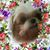 Kathy Carpunky's profile image