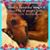 Dawn Marie Wells's profile image