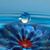 Tamara Gray's profile image
