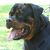 Mike Stalter's profile image