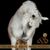 Stacey Webb's profile image