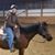 Mary Liz Gleason's profile image