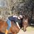 Jennifer Barton's profile image