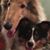 Nancy Rossiter's profile image