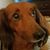 Patty Trubia's profile image