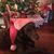 Missy Dix Buchhorn's profile image