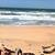 Christine Plesic Domon's profile image