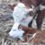 John Bealor's profile image