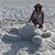 Linda Garcia's profile image