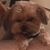 Smith Bill's profile image