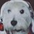 Jacquelyn Howse-Hunter's profile image