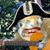 Vicente Dellamorte's profile image