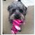 Kathleen Mangers's profile image