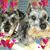Karen Taniguchi Bateman's profile image