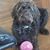 Sheila Bundy's profile image