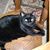 Jean Andrews's profile image