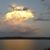 Lynn Boelstler's profile image