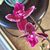 Mary Phillips's profile image