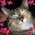 Tina Winters's profile image