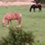 Kathy Thornbury Allen's profile image