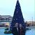 Rhonda Fishback Mealick's profile image