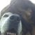 Julia Shaye Kuhl Johnson's profile image