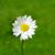 Jodi Gephart's profile image