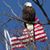 William Cramer II's profile image