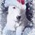 Jordonna Rea's profile image