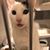 Carina M Muehl's profile image