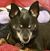 Vicky Kempner's profile image