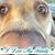 Hazel Taylor- Rush's profile image