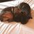 Sherry Lynn's profile image