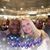 Nichole Woodward Shelton's profile image
