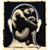 Jay Gissen's profile image