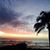 Dawn Kaucher's profile image