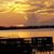 Stephanie Willis Anderson's profile image