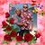 Patrick Miller's profile image