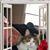 Linda Ann Owen's profile image