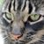 Sunspot Richards's profile image