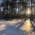 Marcelle LaBelle Etringer's profile image