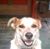 Terry Mcmillan's profile image