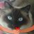 Cynthia McMinn's profile image