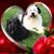 Becky Patchett Black's profile image