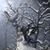 Brittanny Gamache's profile image