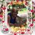 Joanne Selby Seabrease's profile image