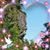 David Kirke's profile image