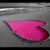 Christine Depasquale-Raynor's profile image